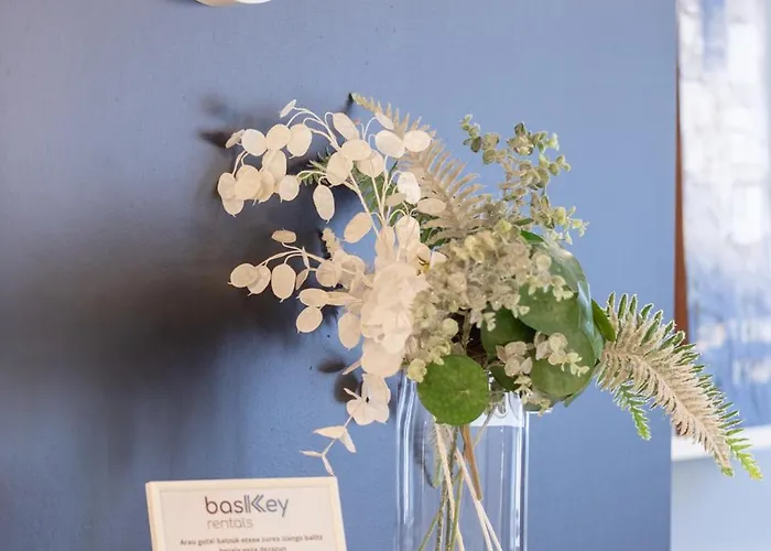 Torrepe - Baskeyrentals *