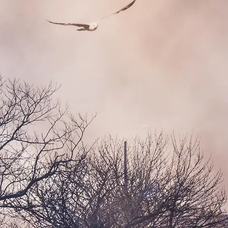 아파트 Torrepe - Baskeyrentals 온다로아